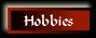 My Hobbies